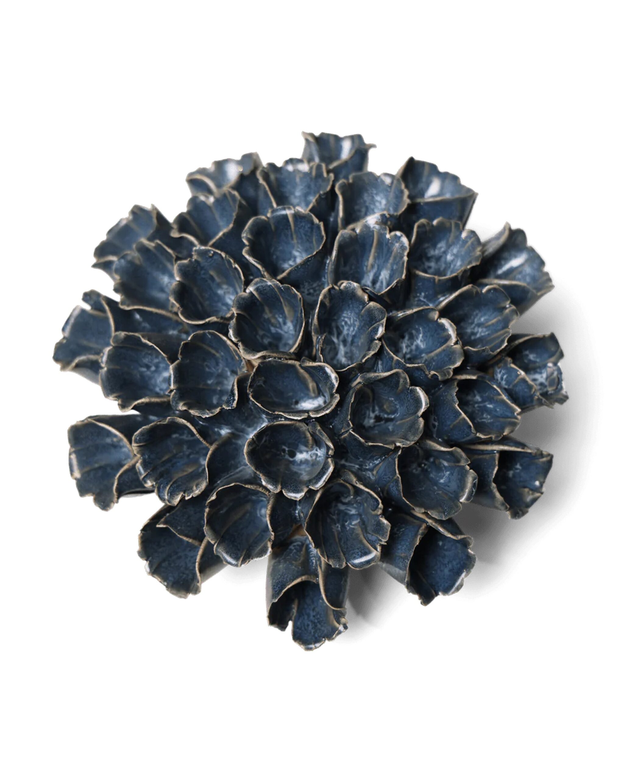 blue-sea-polyp