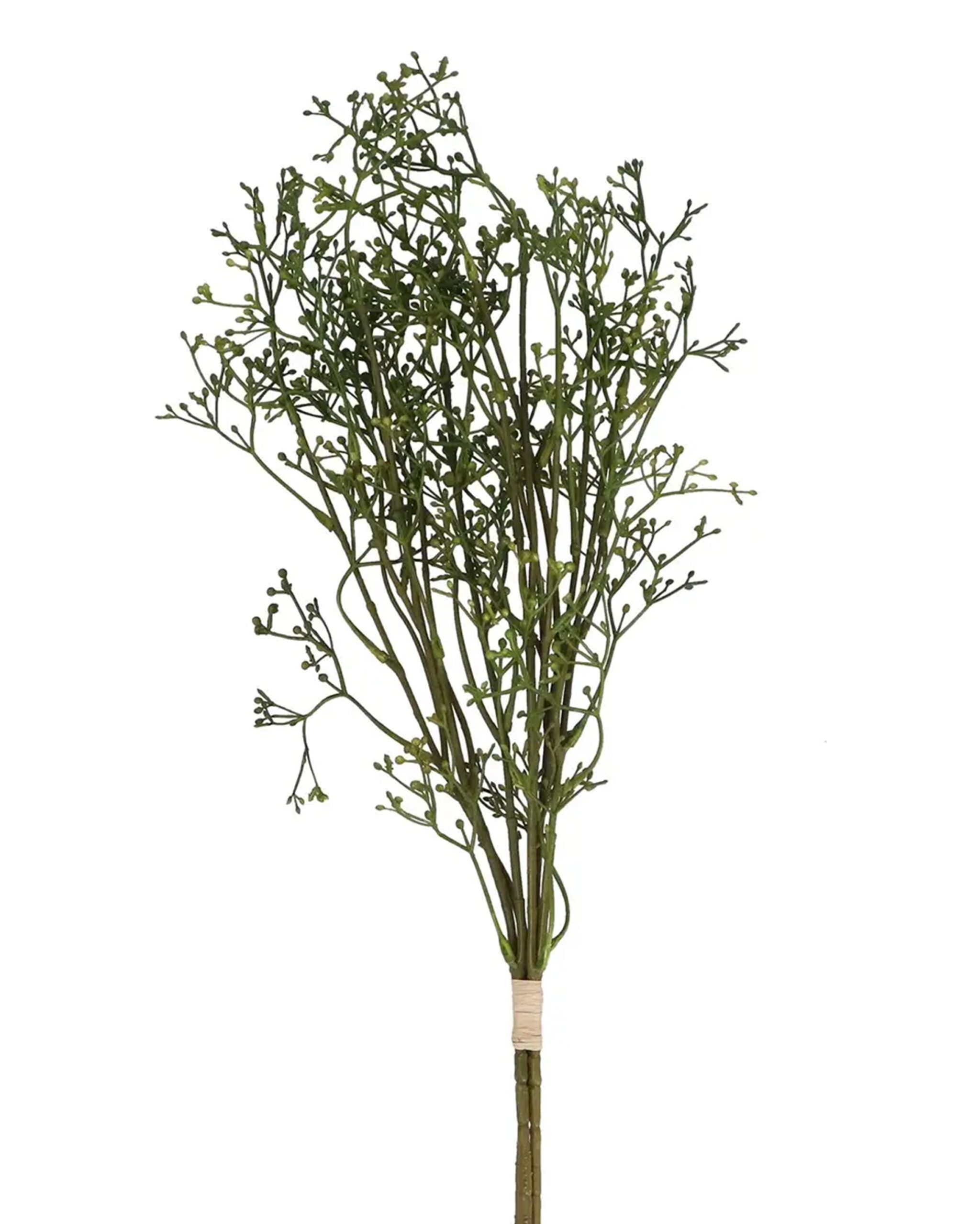 green_berry_branch