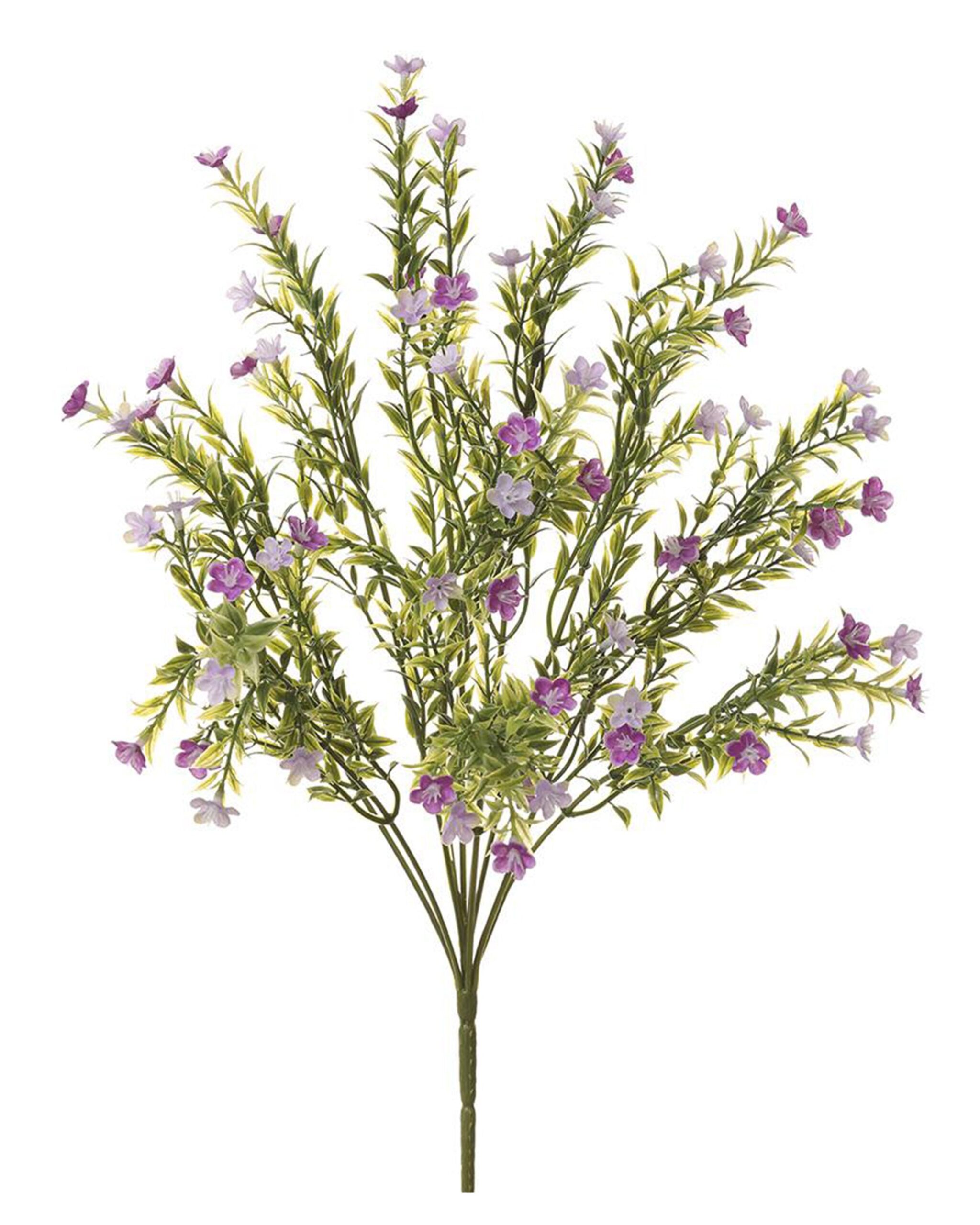 waxflower-stems